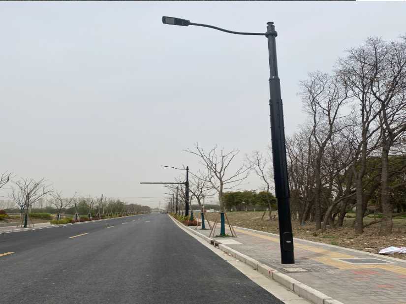 墨脱县上海综合杆 太阳能路灯工程